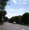 050-Image_3.jpg.small.jpeg